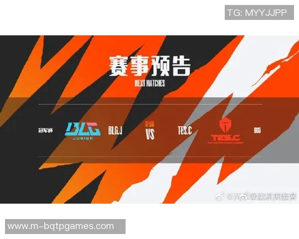 TES在世界冠军杯中的团队协作表现分析与点评